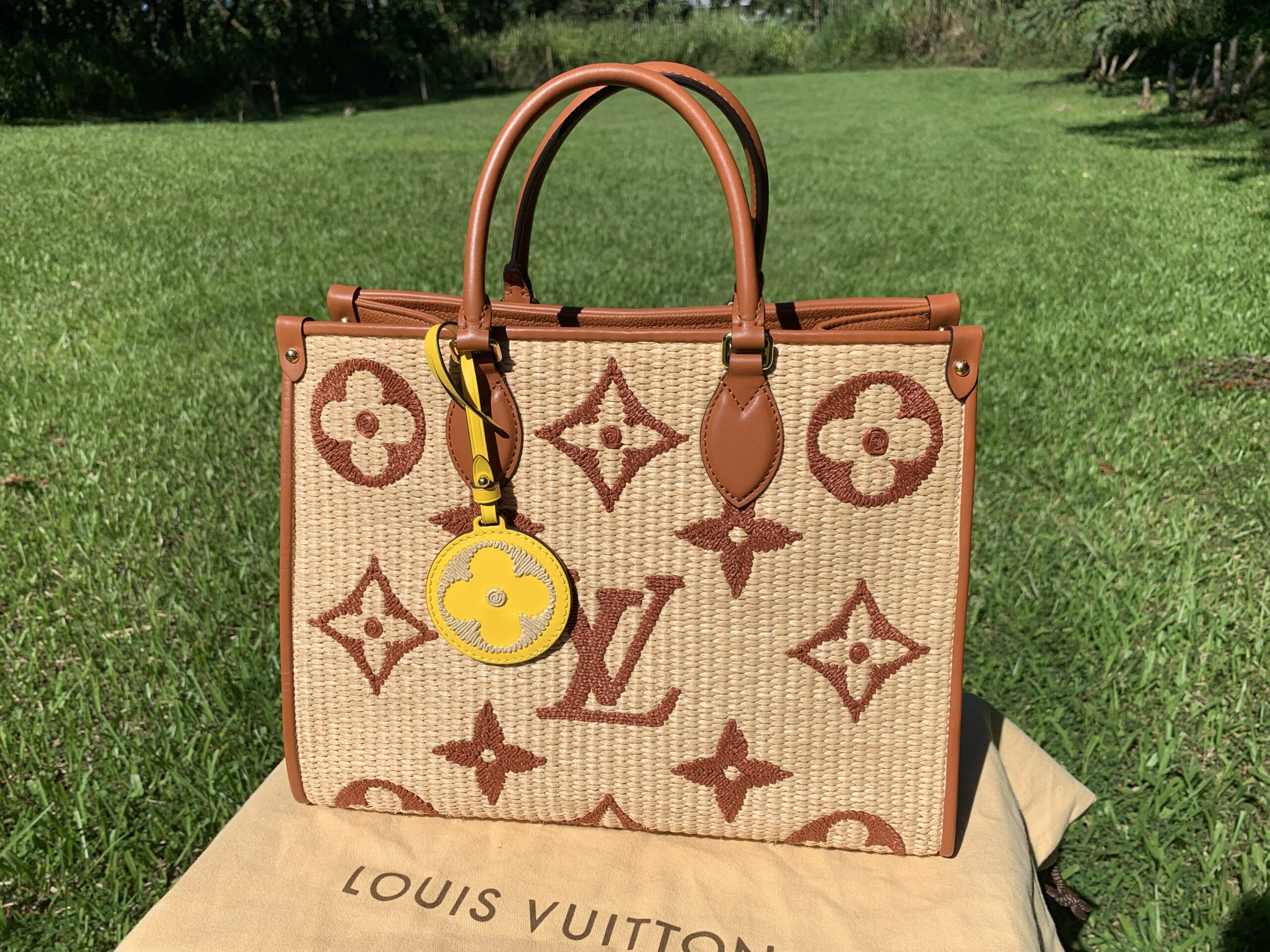 New Louis Vuitton Raffia Limited.Edition On The Go Bag with Box at